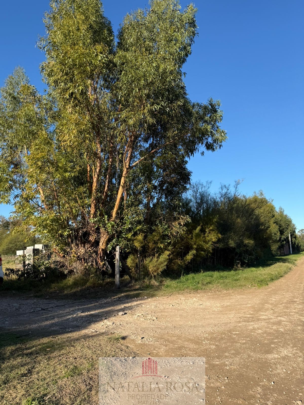 QUINTA A PASOS DE LA CIUDAD